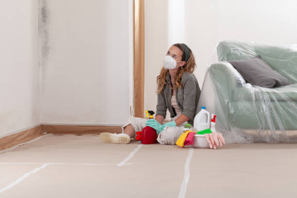 Reliable Mold Cleanup contractor in Lanham, MD by Cheap Mold Removal